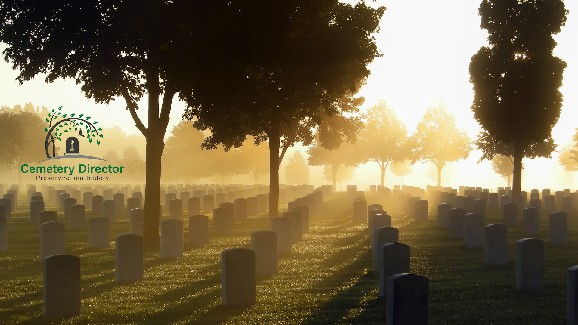 Cyanic Automation Online Services